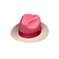 COMBINED FEDORA - COLORFILLED COLLECTION